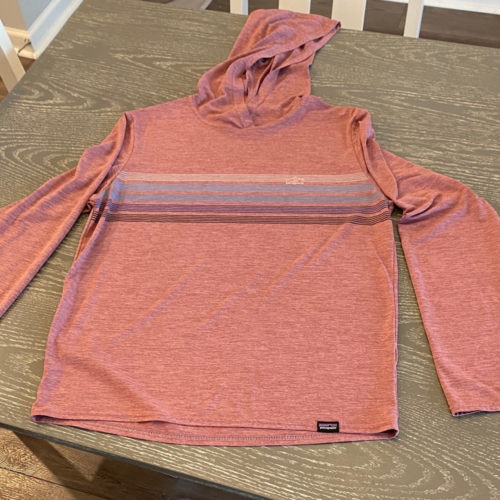 Patagonia Men's Hoodie in Light Purple with Blue Stripes